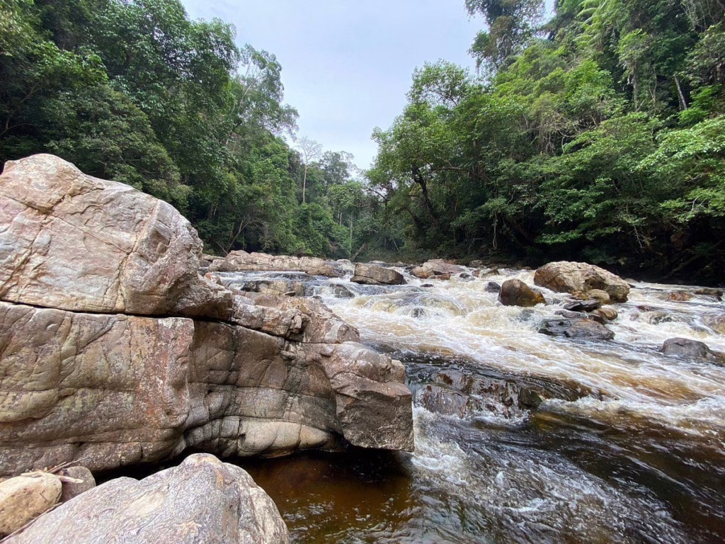 Taman Negara