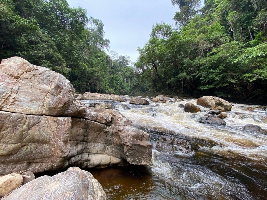 Taman Negara