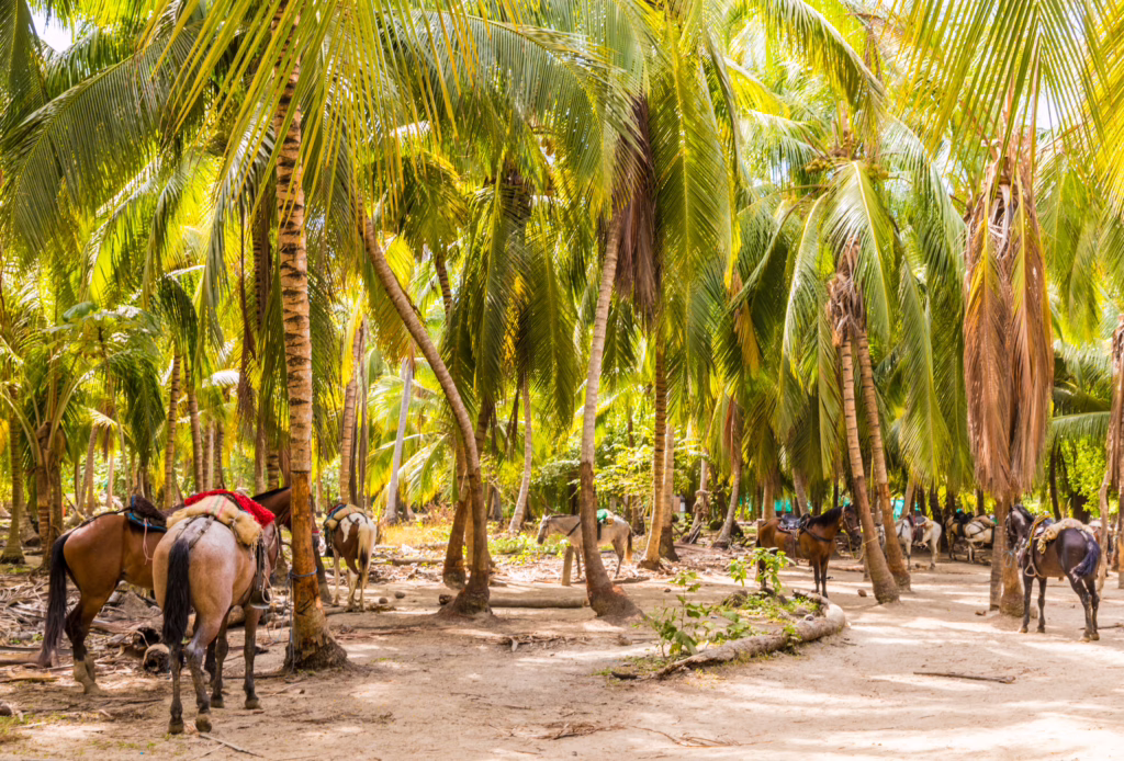 Tayrona Nationaal Park
