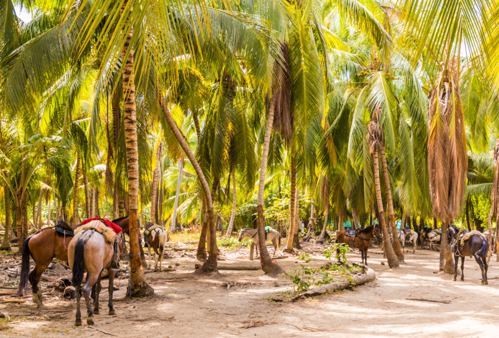 Tayrona Nationaal Park