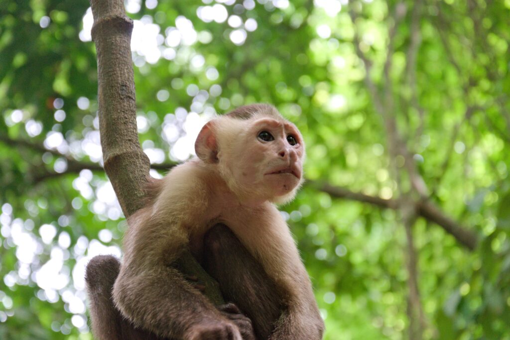Tayrona Nationaal Park