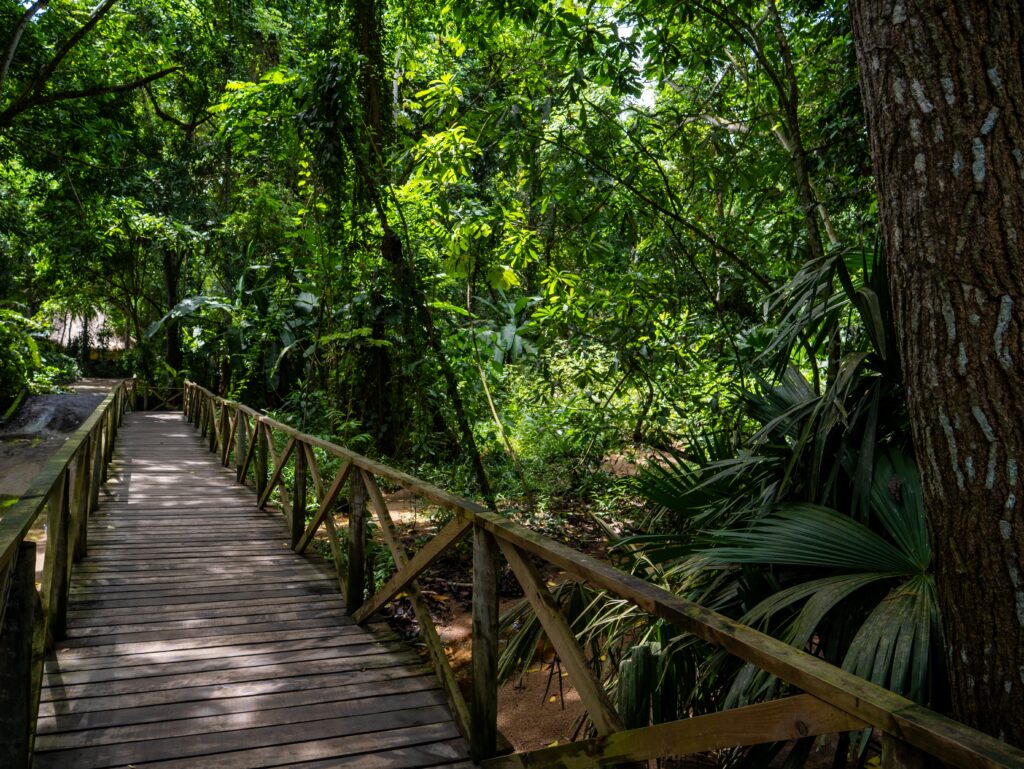 Tayrona Nationaal Park