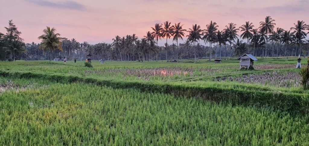 Ubud
