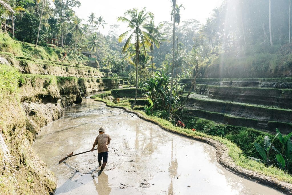 Ubud