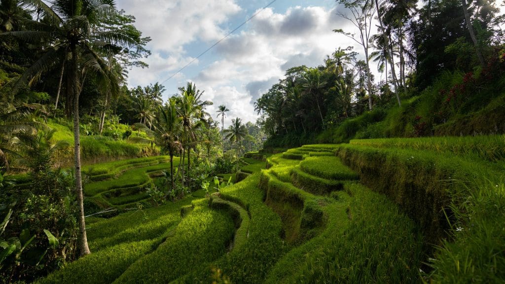Ubud