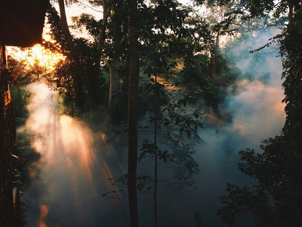 Ubud