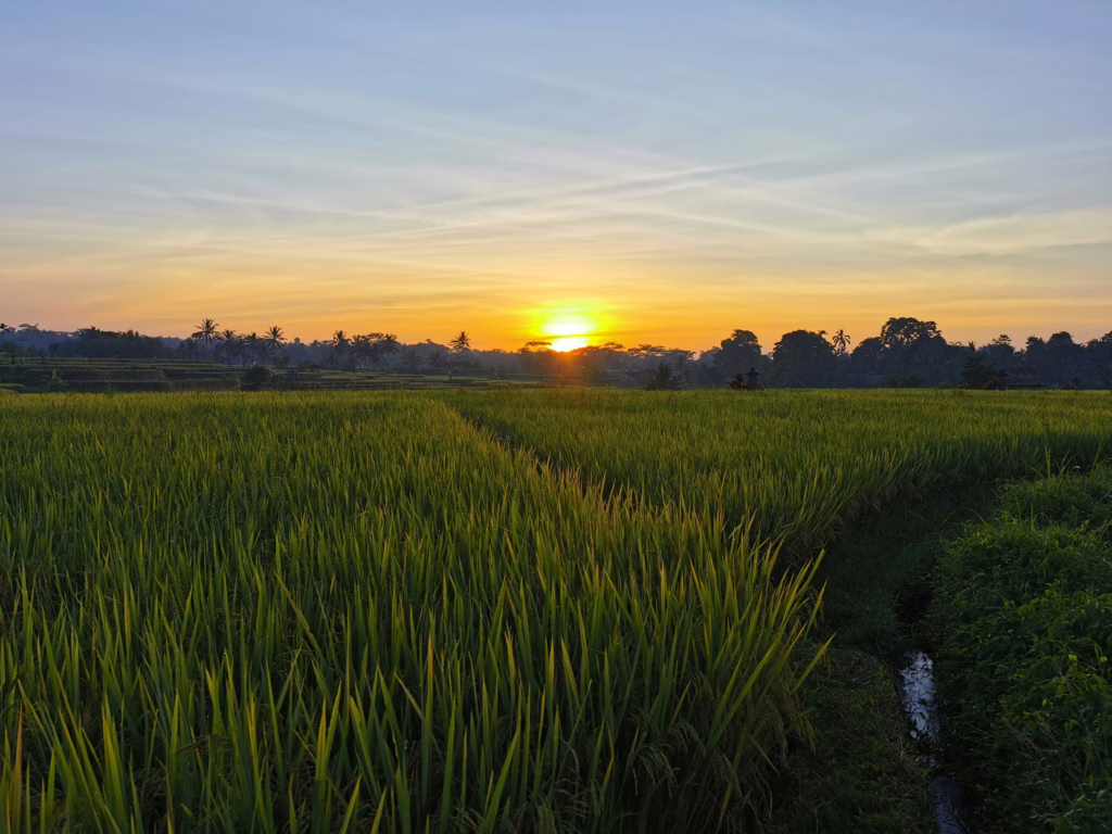 Ubud
