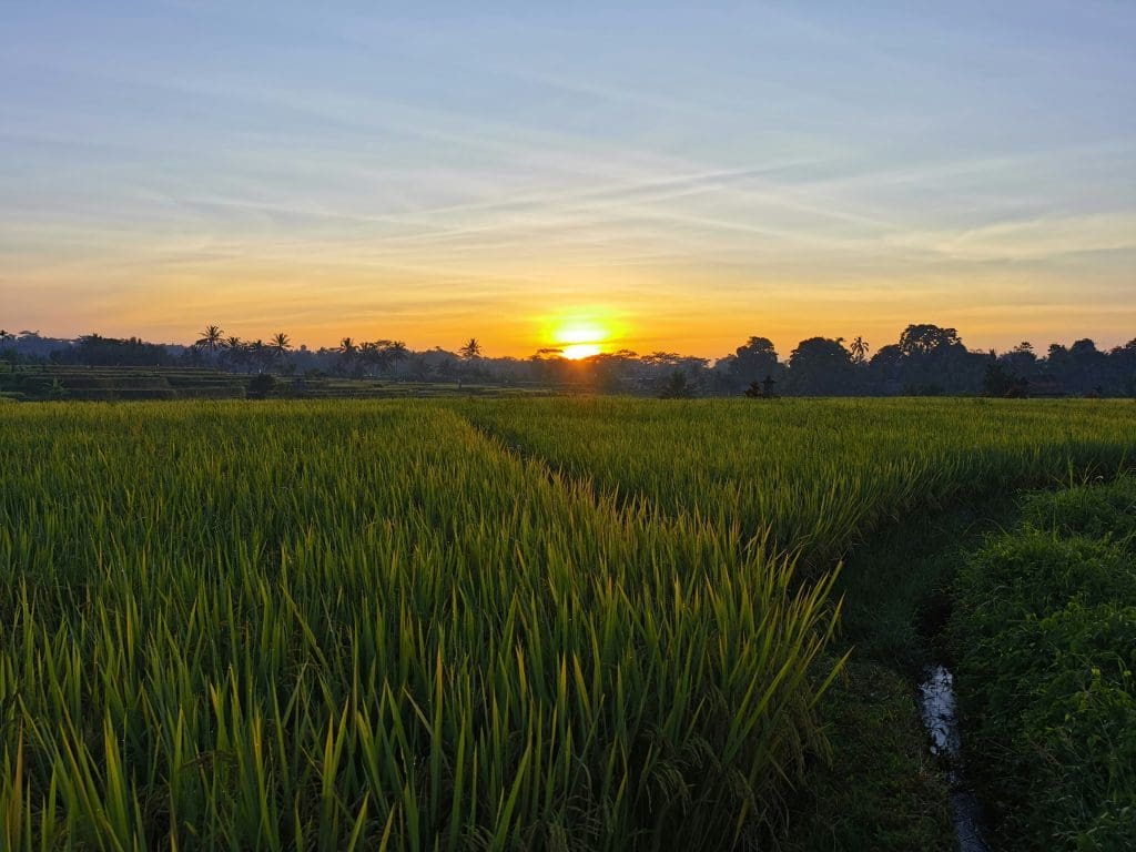 Ubud