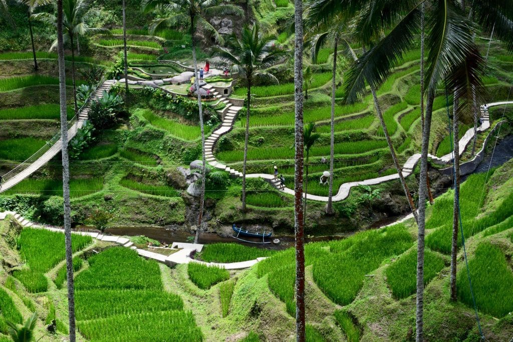 Ubud