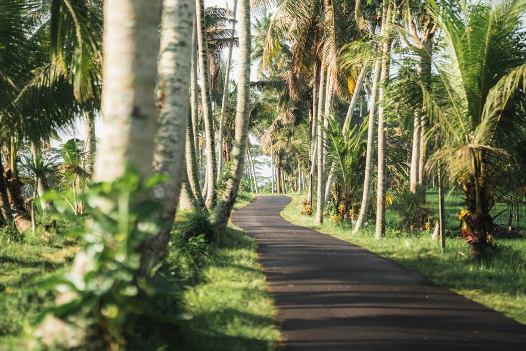 Ubud