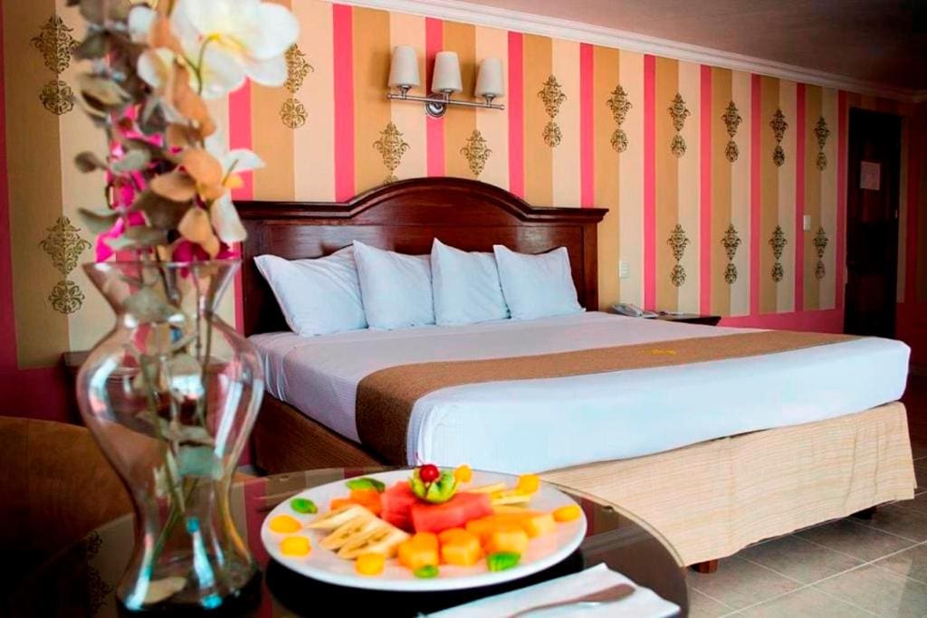 Hotel Plaza Colonial