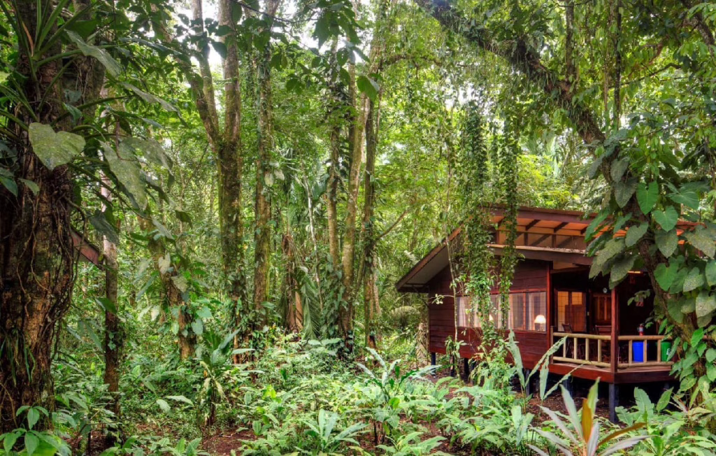 Evergreen Lodge