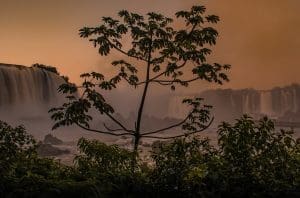 excursie image