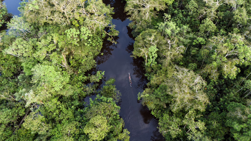 Amazone van Ecuador