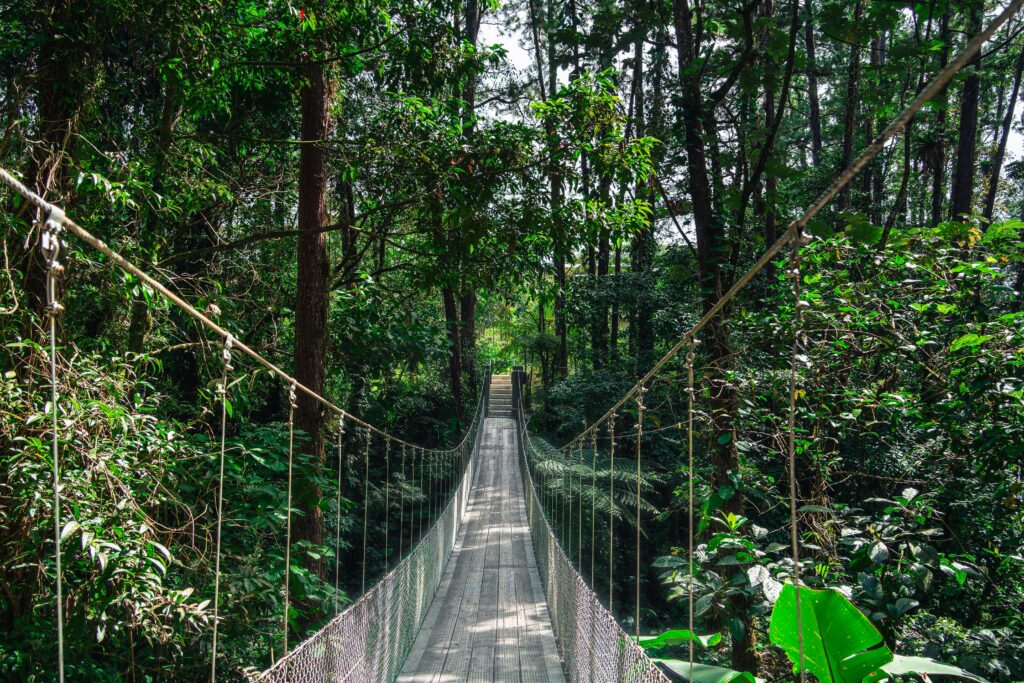 La Fortuna