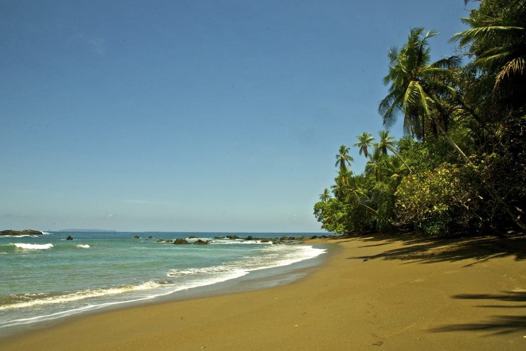 Santa Teresa