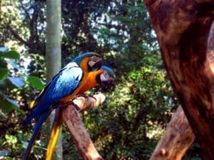 excursie image