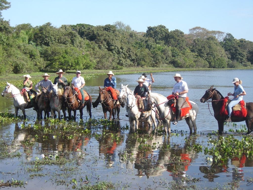 Pantanal