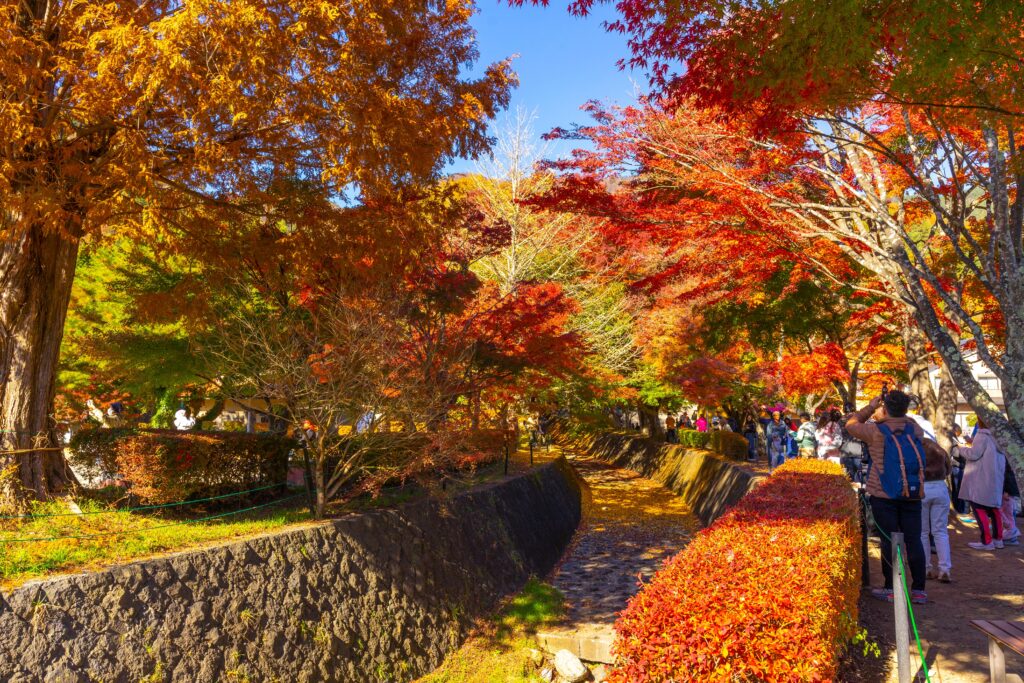 Kawaguchi