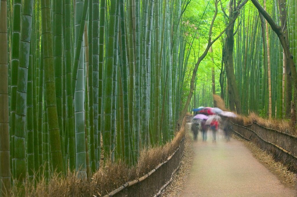 Kyoto
