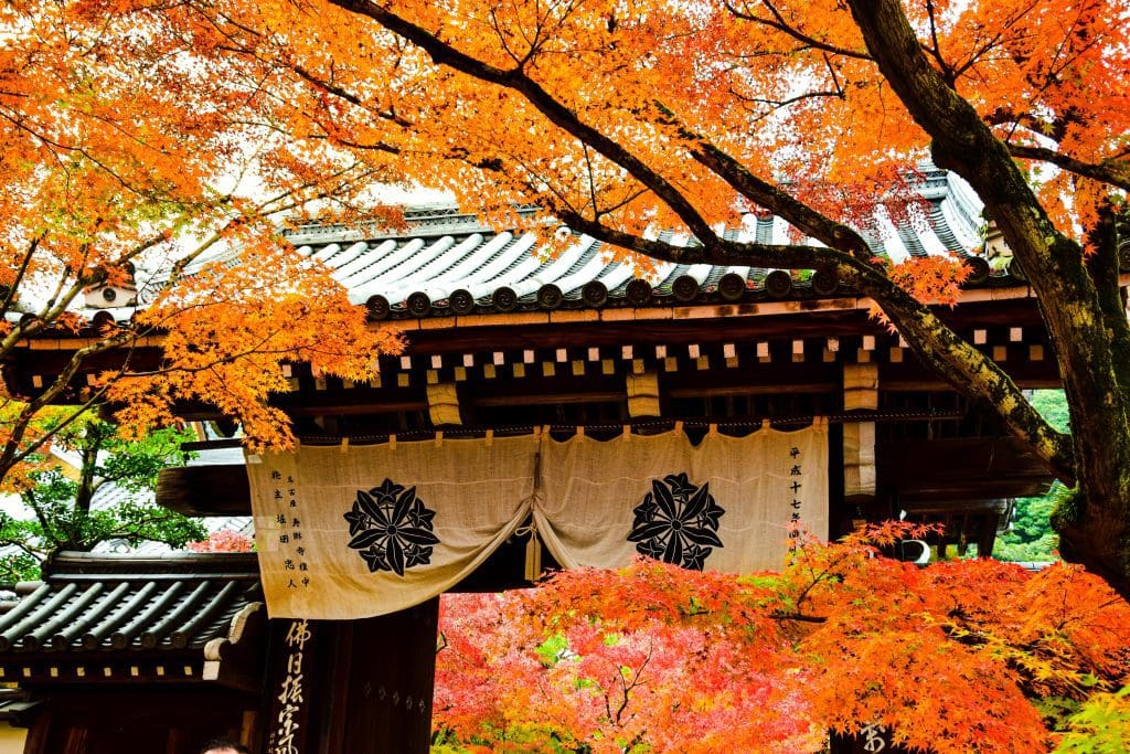 Kyoto