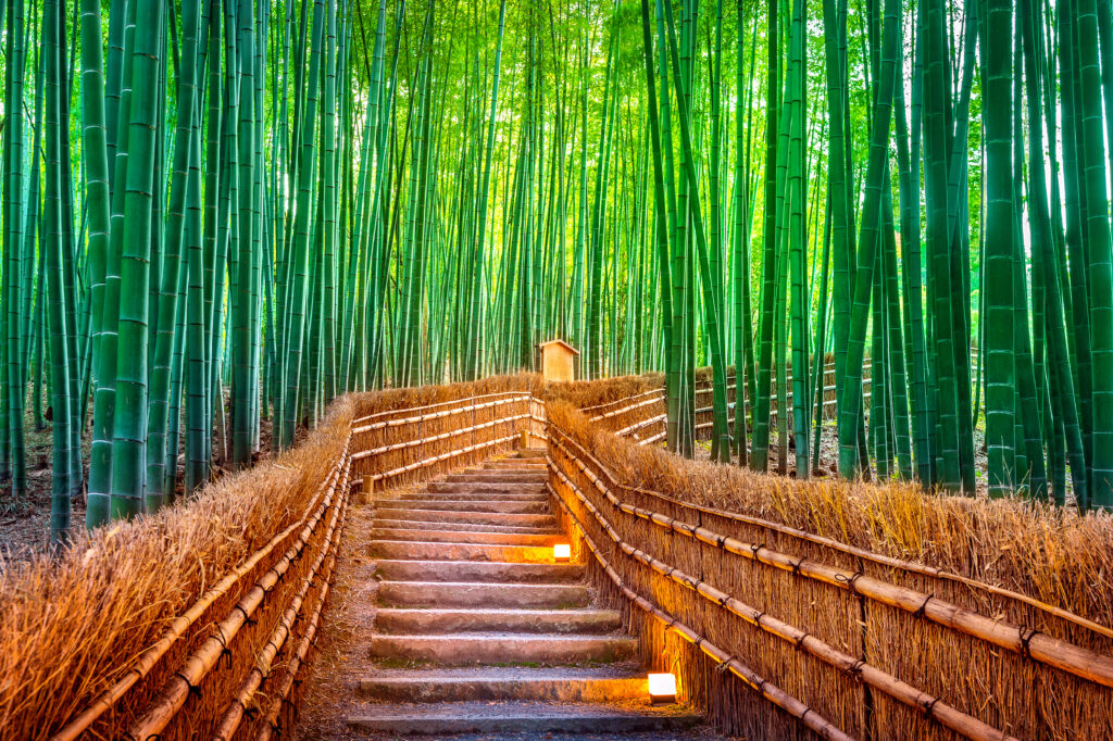 Kyoto