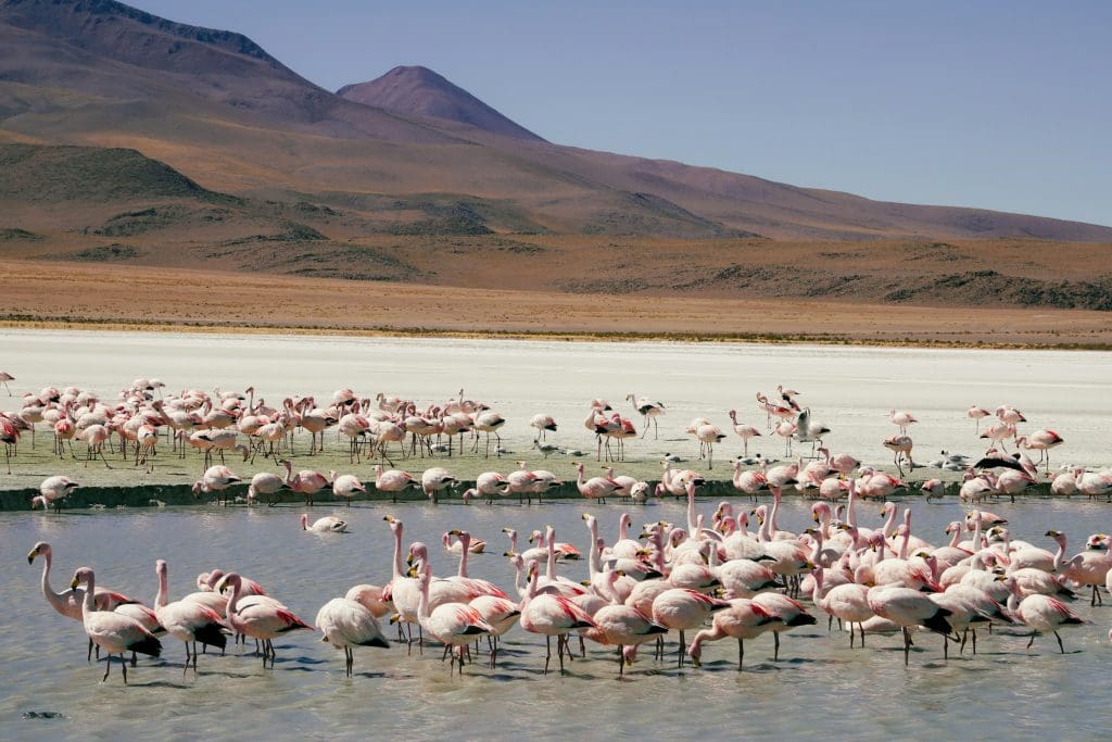 Uyuni