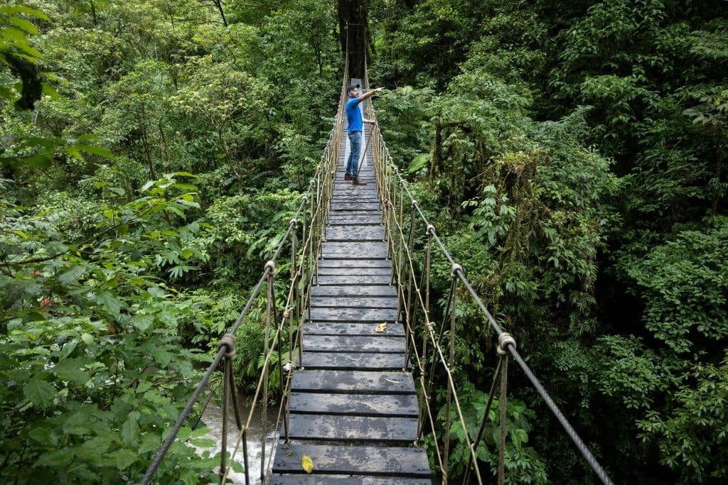 Monteverde