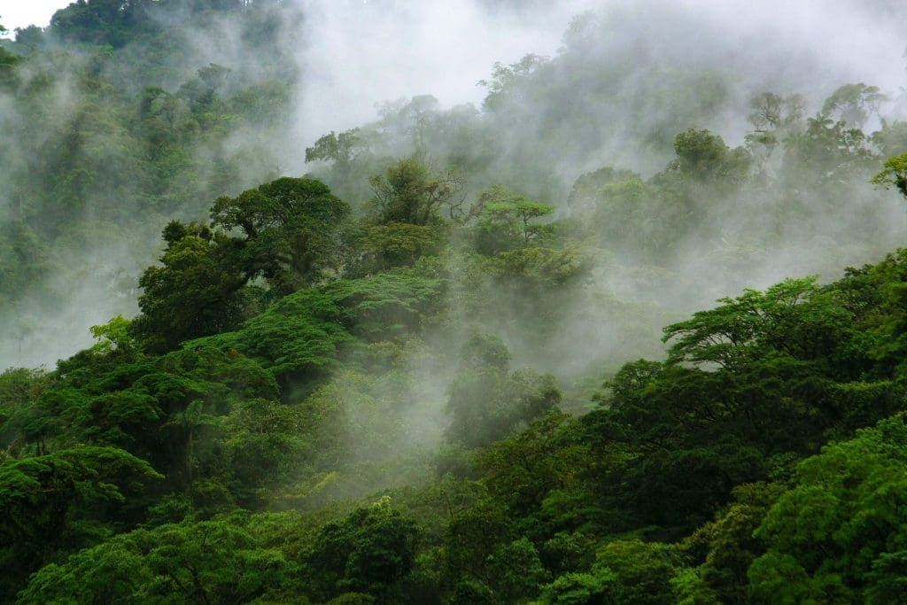 Monteverde