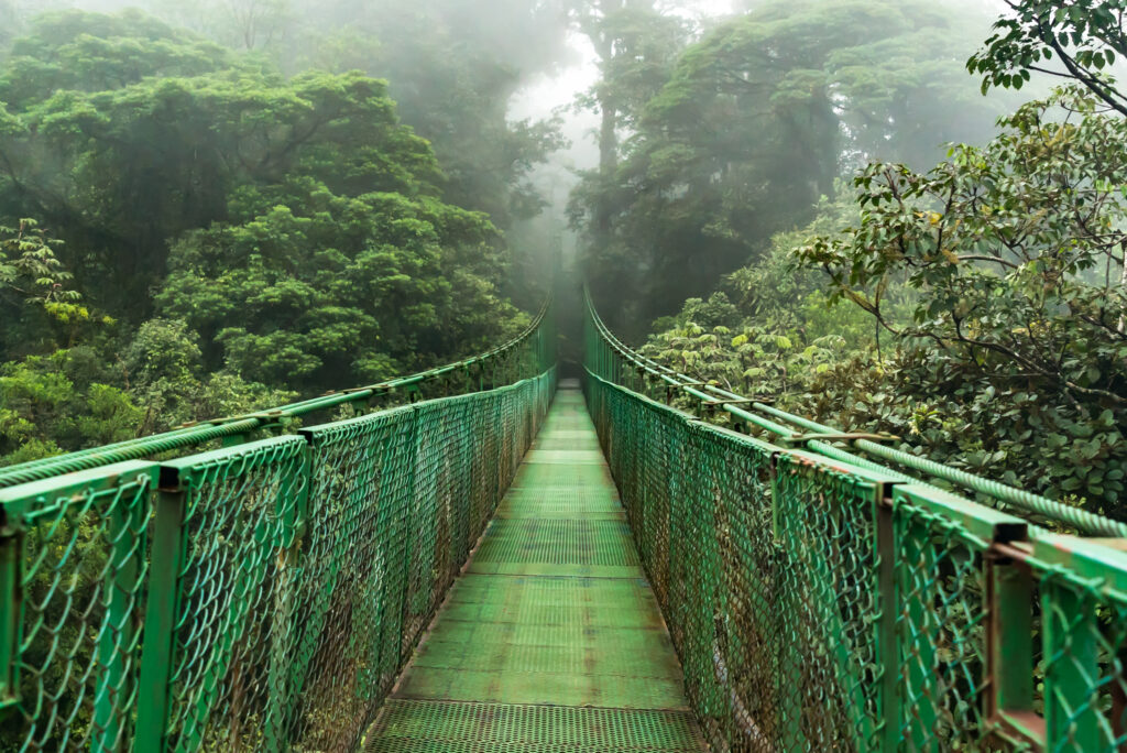 Monteverde