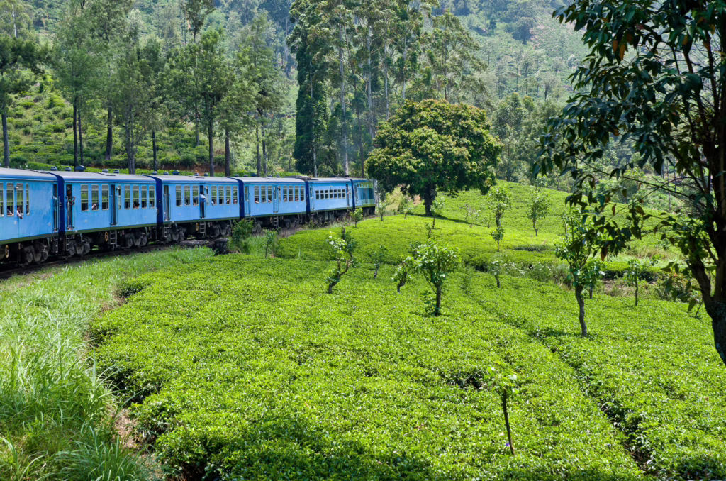 Nuwara Eliya
