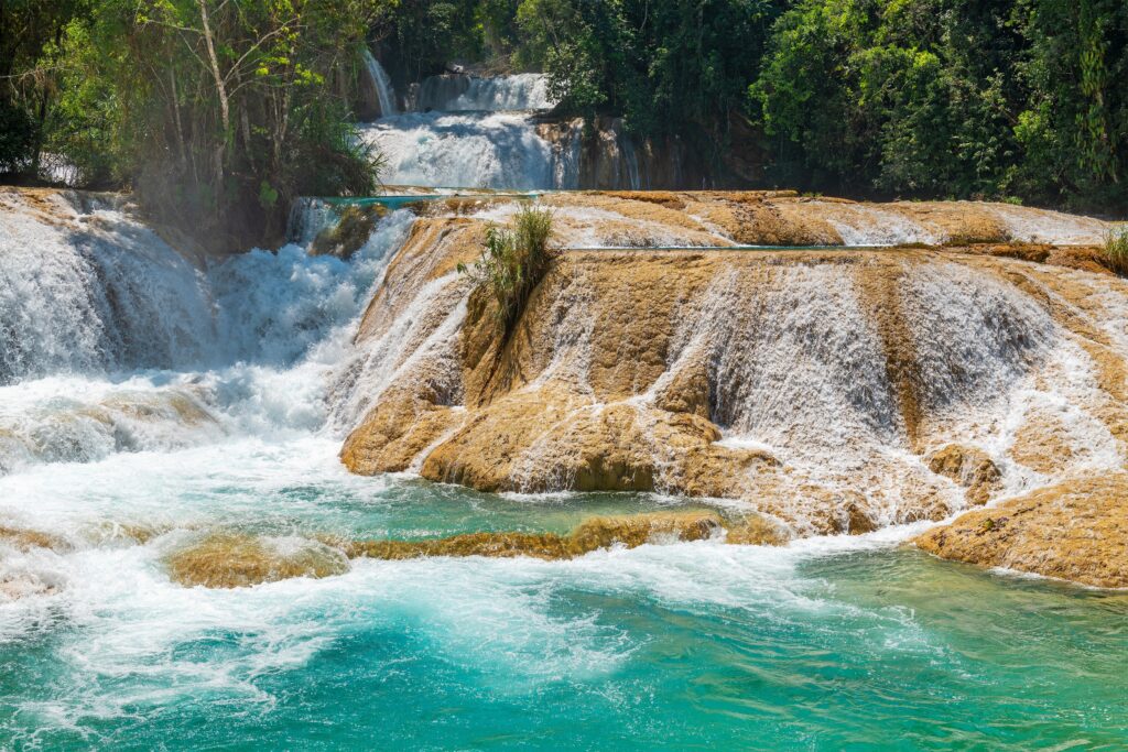 Palenque