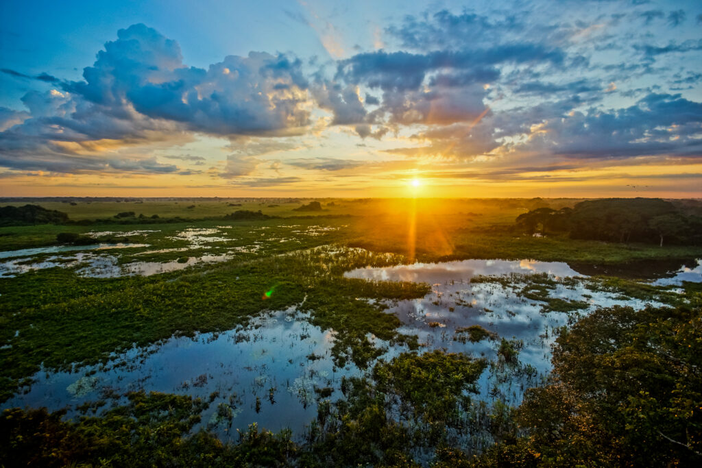 Pantanal