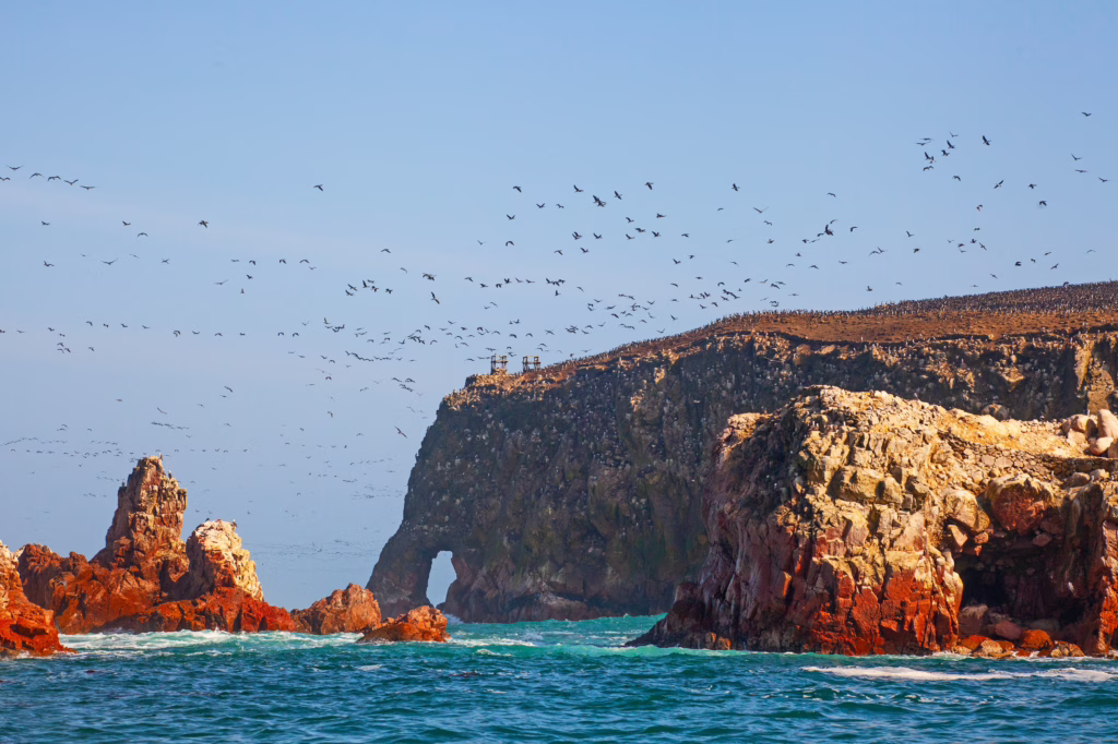 Paracas