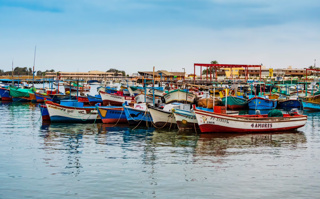 Paracas