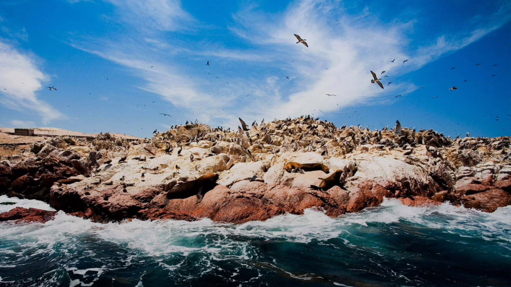 Paracas