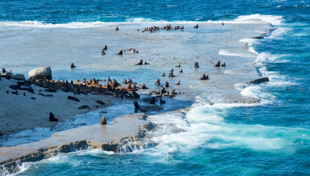 Puerto Madryn