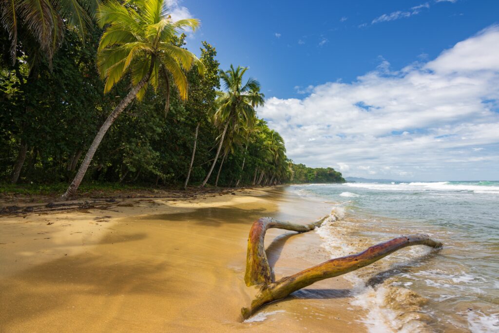 Puerto Viejo de Talamanca