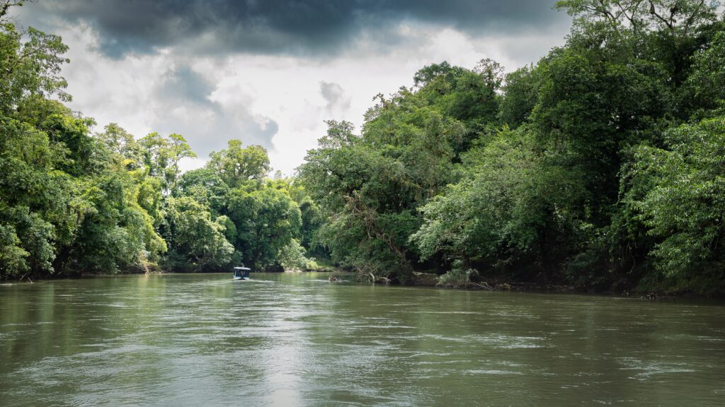 Sarapiquí