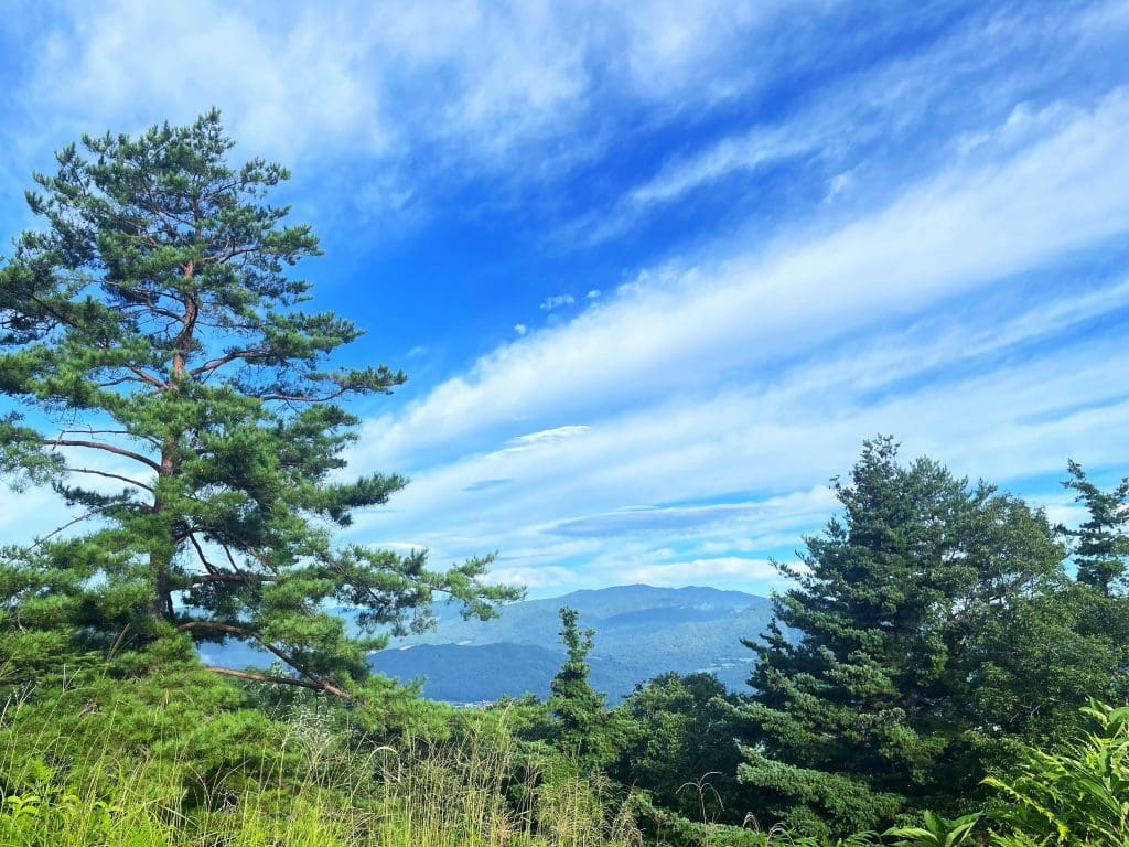 Takayama