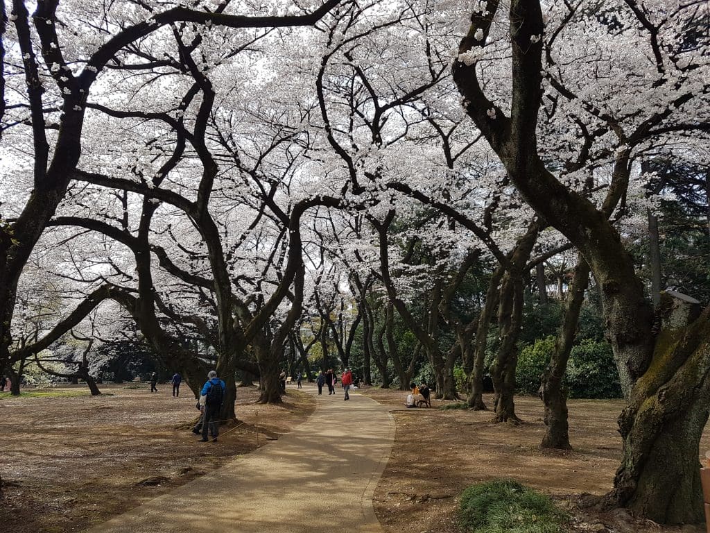 Tokyo