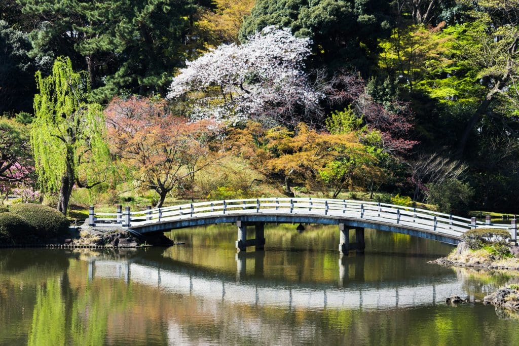 Tokyo
