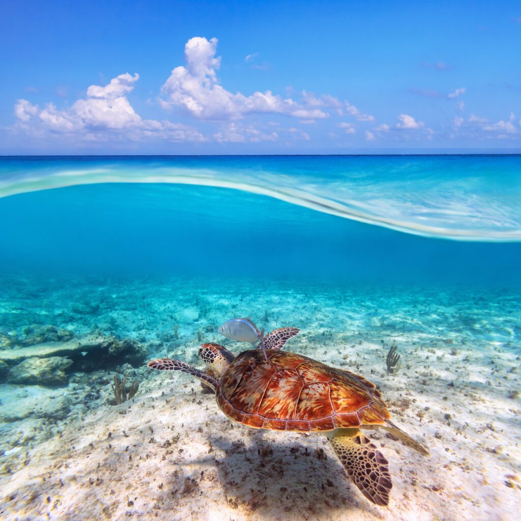Tulum