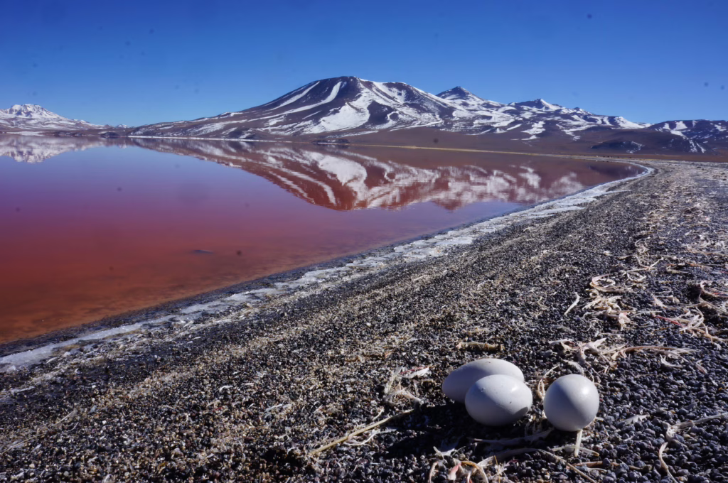 Uyuni