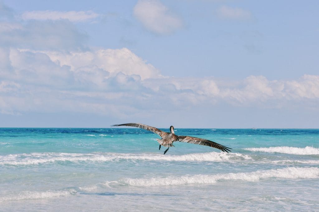Varadero