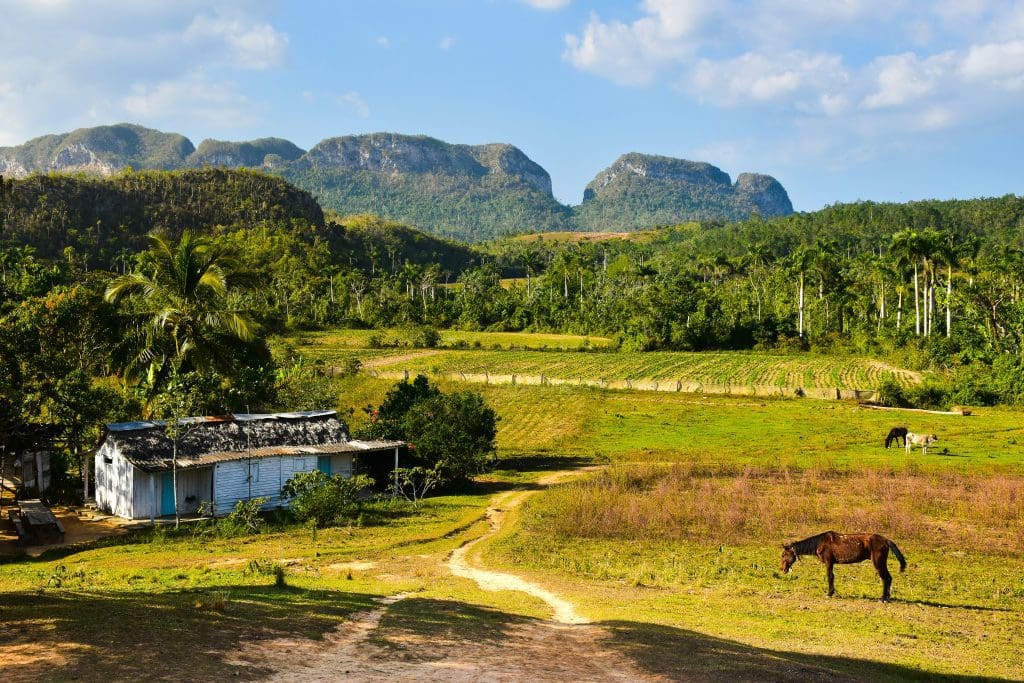Vinales