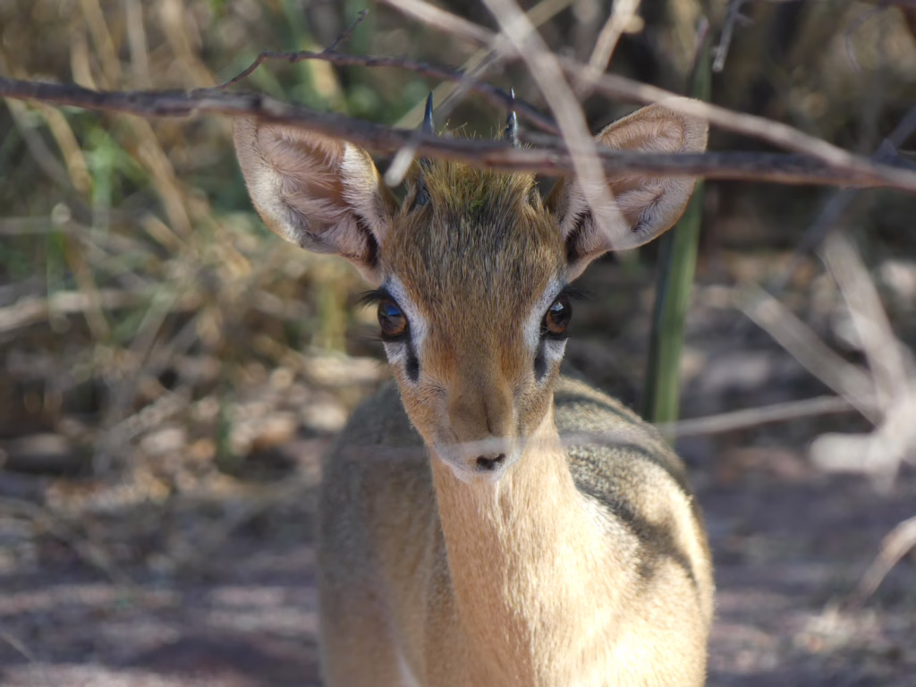 Waterberg Plateau National Park