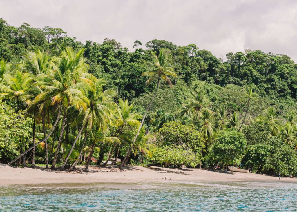 Drake Bay