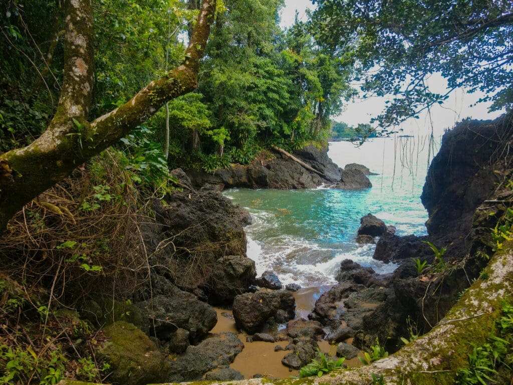 Drake Bay