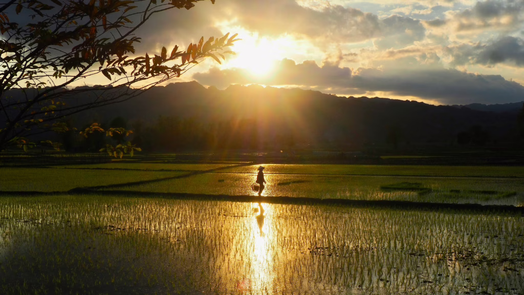 Nam Hinboun